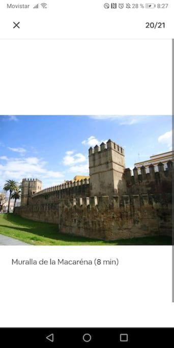 Apartamento En El Casco Antiguo Junto Alameda H. Seville Exterior photo